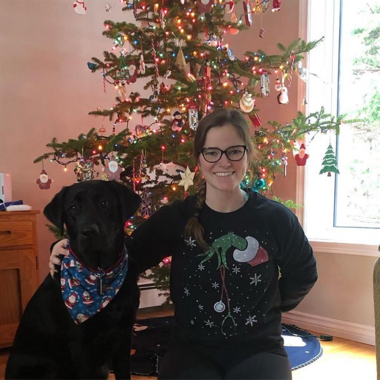 Click to view full screen The Nurse Doctor Grinch Steal The Christmas Shirts Full Size Up To 5xl photo review